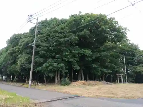 天神社（法花寺町）の自然
