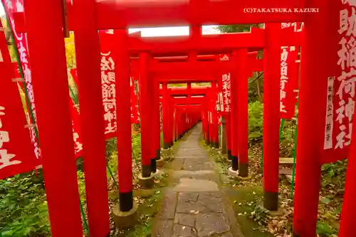 佐助稲荷神社の鳥居