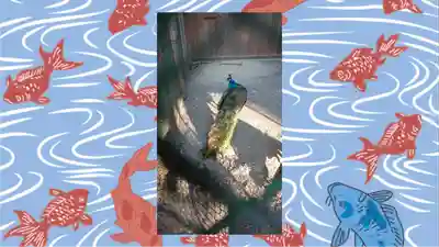 岩槻久伊豆神社(埼玉県)