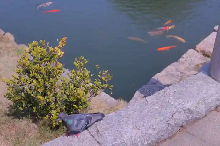 廣島護國神社の動物