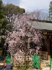 新田神社の自然