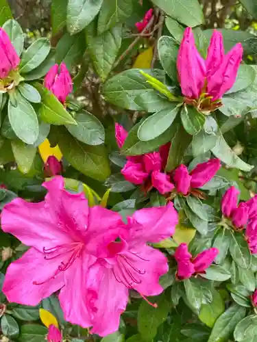 伊勢神宮外宮（豊受大神宮）の自然