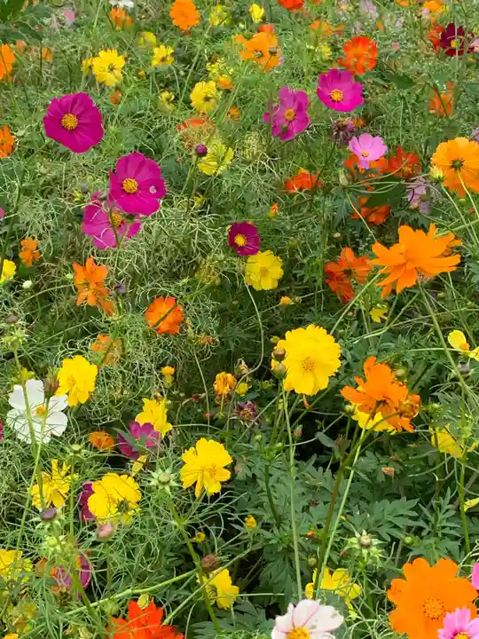 布施弁天 東海寺の自然