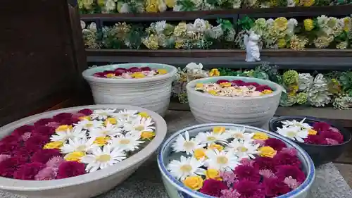 法輪寺(東京都)