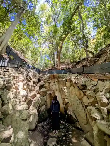 垂水神社の自然