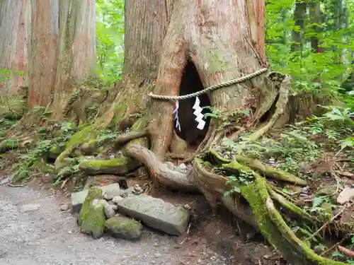 戸隠神社九頭龍社(長野県)
