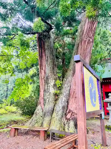 羽黒山五重塔(出羽三山神社)の自然