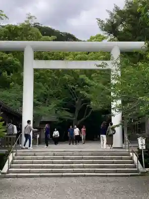 安房神社の{uncategorized: "未分類", other: "その他", undefined: "問題あり", building: "その他建物", grave: "お墓", sacred_gate: "鳥居", guardian: "狛犬", statue: "像", buddha: "仏像", history: "歴史", nature: "自然", garden: "庭園", animal: "動物", pagoda: "塔", temizu: "手水舎", mountain_gate: "山門・神門", sanctuary: "本殿・本堂", subordinate: "末社・摂社", art: "芸術", scenery: "景色", jizo: "地蔵", ema: "絵馬", goshuin: "御朱印", omikuji: "おみくじ", items: "授与品その他", amulet: "お守り", goshuincho: "御朱印帳", eats: "食事", festival: "お祭り", votive_dance: "神楽", shichigosan: "七五三参", wedding: "結婚式", experience: "体験その他", initially: "初詣", around: "周辺", anti_infection: "感染症対策"}