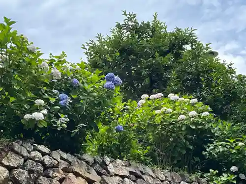 勝尾寺(大阪府)