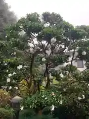 白鷺神社(栃木県)