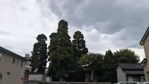 越中白山総社の景色