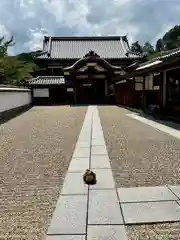 金剛寺(大阪府)