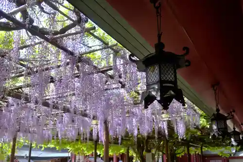 笠間稲荷神社の庭園