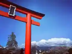 富士山本宮浅間大社の鳥居