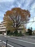 小野神社の自然