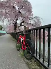 宇都宮二荒山神社(栃木県)