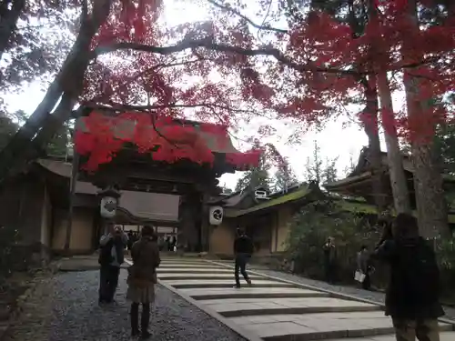 高野山金剛峯寺の山門