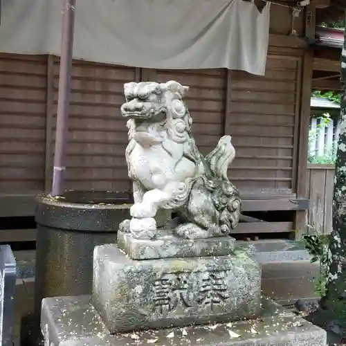 素鵞熊野神社の狛犬