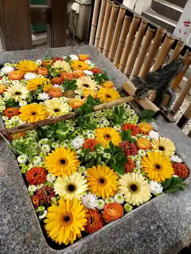 高円寺氷川神社(東京都)