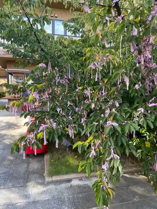 桜神宮のその他建物