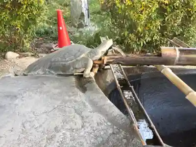 伊弉諾神宮の手水舎