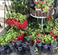 今戸神社のその他建物