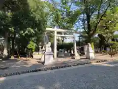 大國魂神社の鳥居