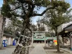 一言主神社の鳥居