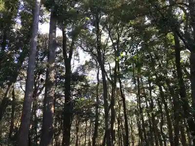浅間神社の周辺