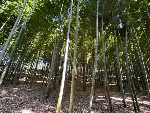 茨城縣護國神社(茨城県)