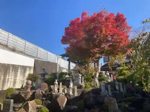 妙石庵(山梨県)