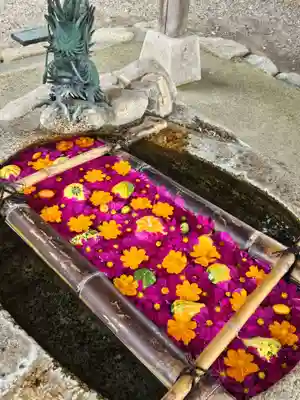 立志神社(滋賀県)