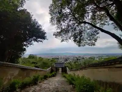 白毫寺の{uncategorized: "未分類", other: "その他", undefined: "問題あり", building: "その他建物", grave: "お墓", sacred_gate: "鳥居", guardian: "狛犬", statue: "像", buddha: "仏像", history: "歴史", nature: "自然", garden: "庭園", animal: "動物", pagoda: "塔", temizu: "手水舎", mountain_gate: "山門・神門", sanctuary: "本殿・本堂", subordinate: "末社・摂社", art: "芸術", scenery: "景色", jizo: "地蔵", ema: "絵馬", goshuin: "御朱印", omikuji: "おみくじ", items: "授与品その他", amulet: "お守り", goshuincho: "御朱印帳", eats: "食事", festival: "お祭り", votive_dance: "神楽", shichigosan: "七五三参", wedding: "結婚式", experience: "体験その他", initially: "初詣", around: "周辺", anti_infection: "感染症対策"}