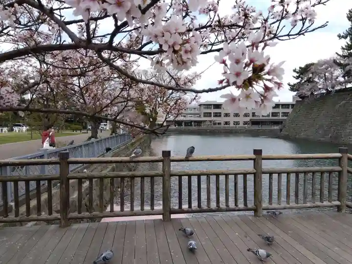 福井神社(福井県)