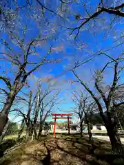 子檀嶺神社(長野県)