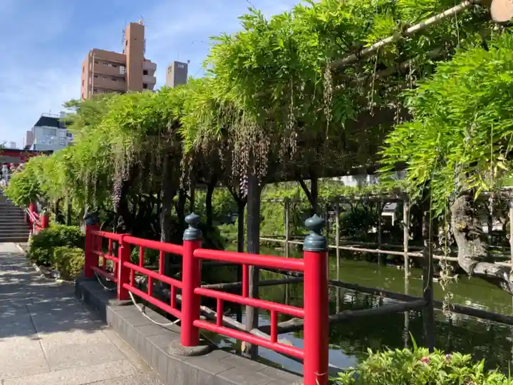 亀戸天神社の庭園
