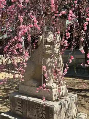 屯倉神社(大阪府)