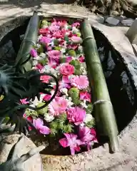 立志神社の手水