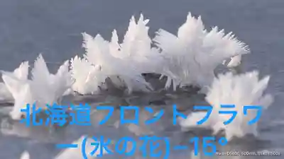 居木神社(東京都)