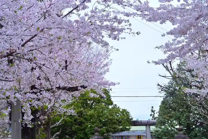 池袋氷川神社(東京都)