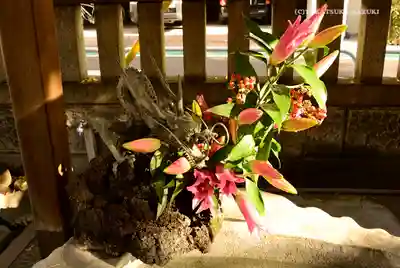 三島神社の手水舎