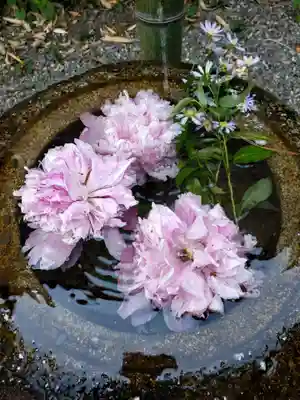 下高井戸八幡神社(東京都)