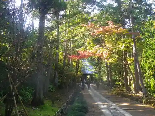 寿福寺の景色