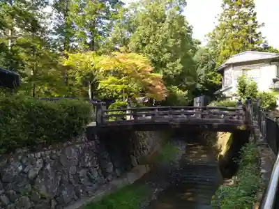 西芳寺(京都府)