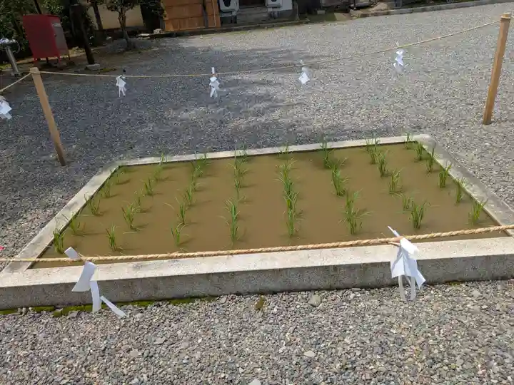 美濃國一宮 南宮大社(岐阜県)