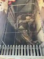 東大寺の{uncategorized: "未分類", other: "その他", undefined: "問題あり", building: "その他建物", grave: "お墓", sacred_gate: "鳥居", guardian: "狛犬", statue: "像", buddha: "仏像", history: "歴史", nature: "自然", garden: "庭園", animal: "動物", pagoda: "塔", temizu: "手水舎", mountain_gate: "山門・神門", sanctuary: "本殿・本堂", subordinate: "末社・摂社", art: "芸術", scenery: "景色", jizo: "地蔵", ema: "絵馬", goshuin: "御朱印", omikuji: "おみくじ", items: "授与品その他", amulet: "お守り", goshuincho: "御朱印帳", eats: "食事", festival: "お祭り", votive_dance: "神楽", shichigosan: "七五三参", wedding: "結婚式", experience: "体験その他", initially: "初詣", around: "周辺", anti_infection: "感染症対策"}