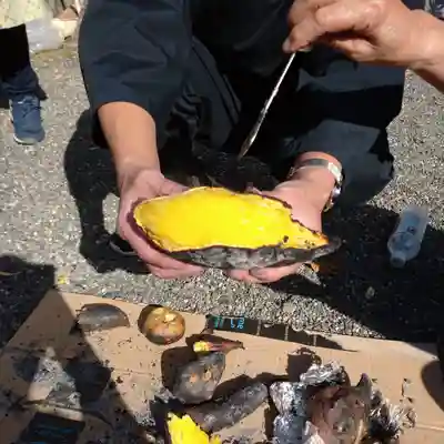 日蓮宗 総本山 塔頭 定林坊(じょうりんぼう)(山梨県)
