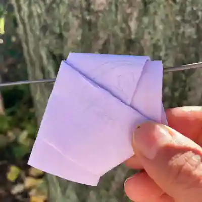 八王子成田山傳法院(東京都)