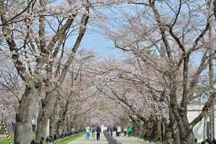 釈迦堂(新潟県)