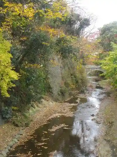 東勝寺跡の自然
